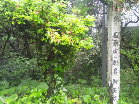 西原城