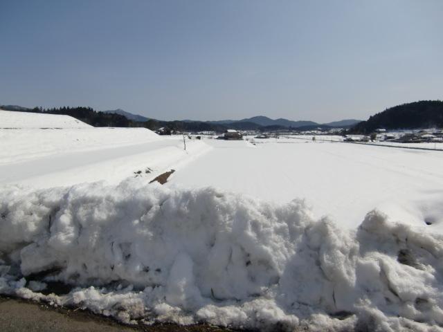 枝ノ城