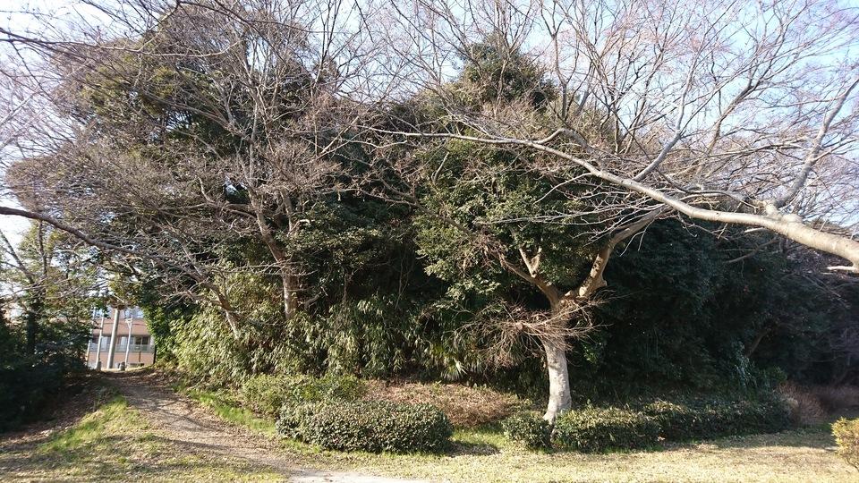 花輪城