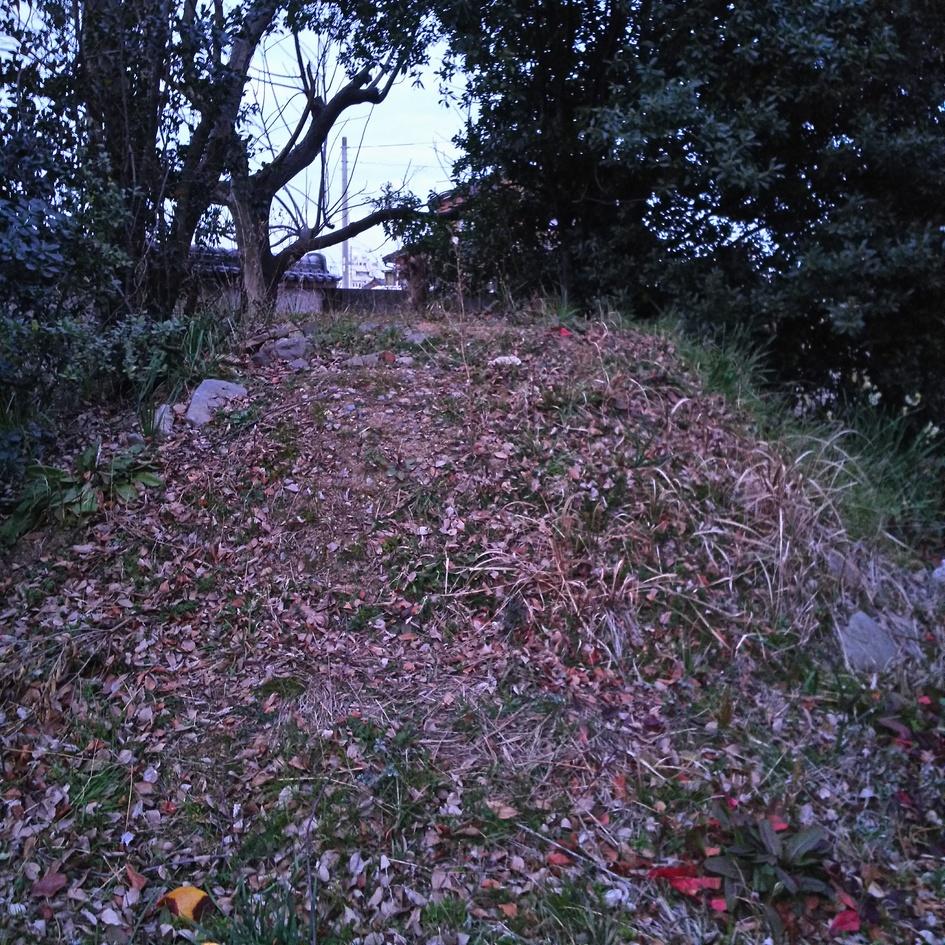 垂水城