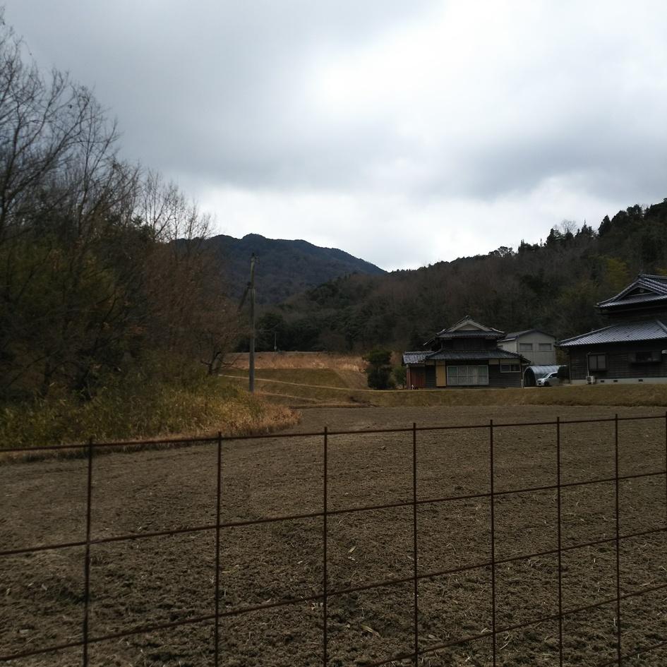 虎丸城