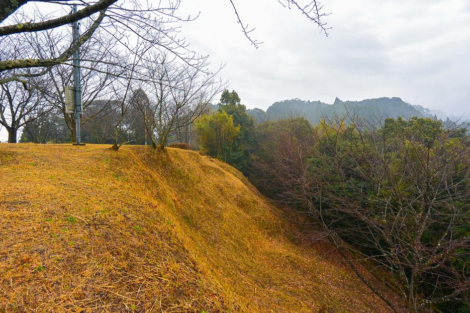 蒲生城