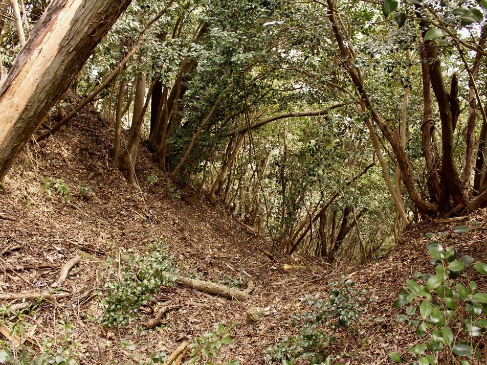 医王山城