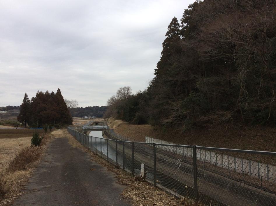 大崎城