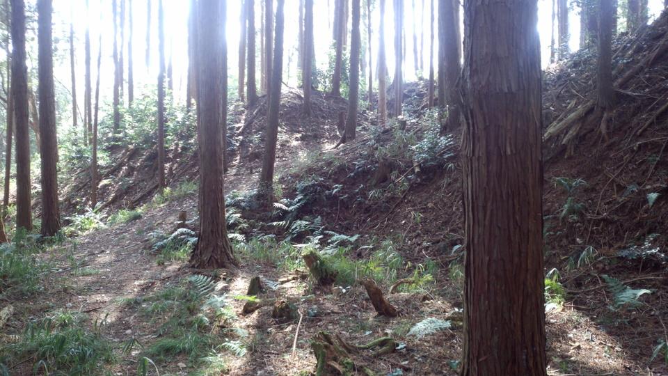 丸山城