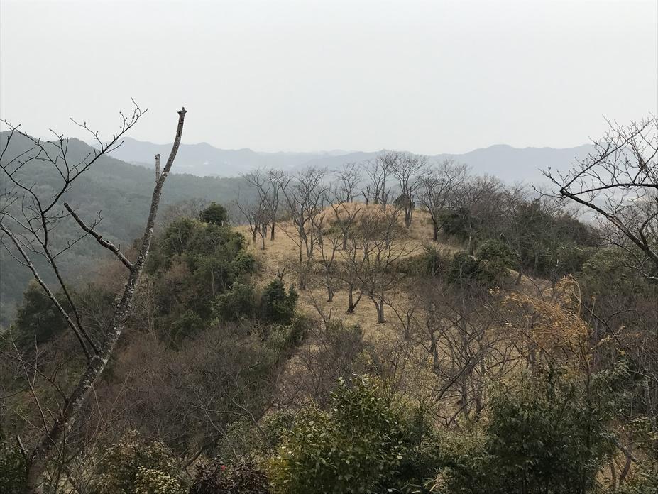 手取城