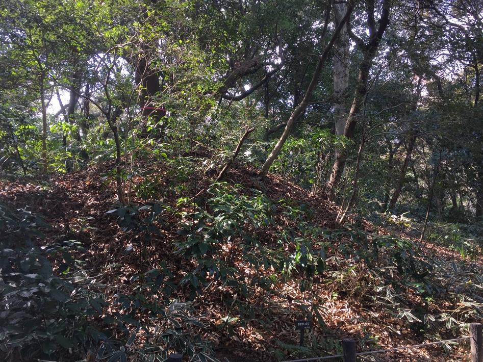 白金館