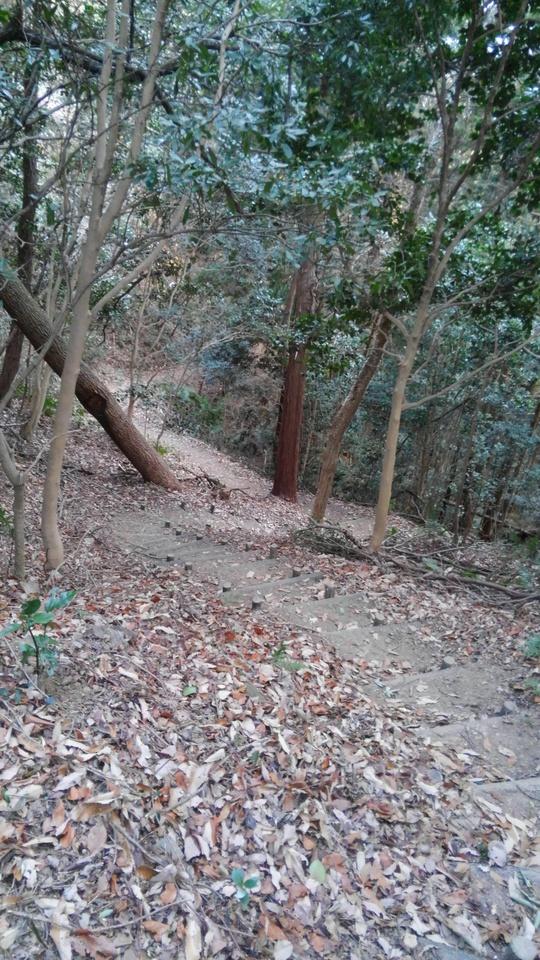 山中城