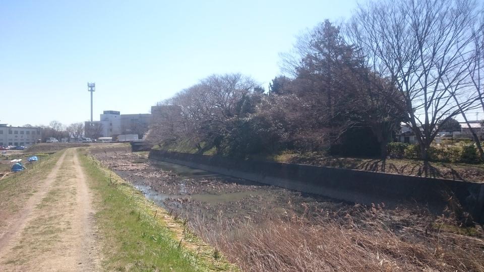 上野上村城