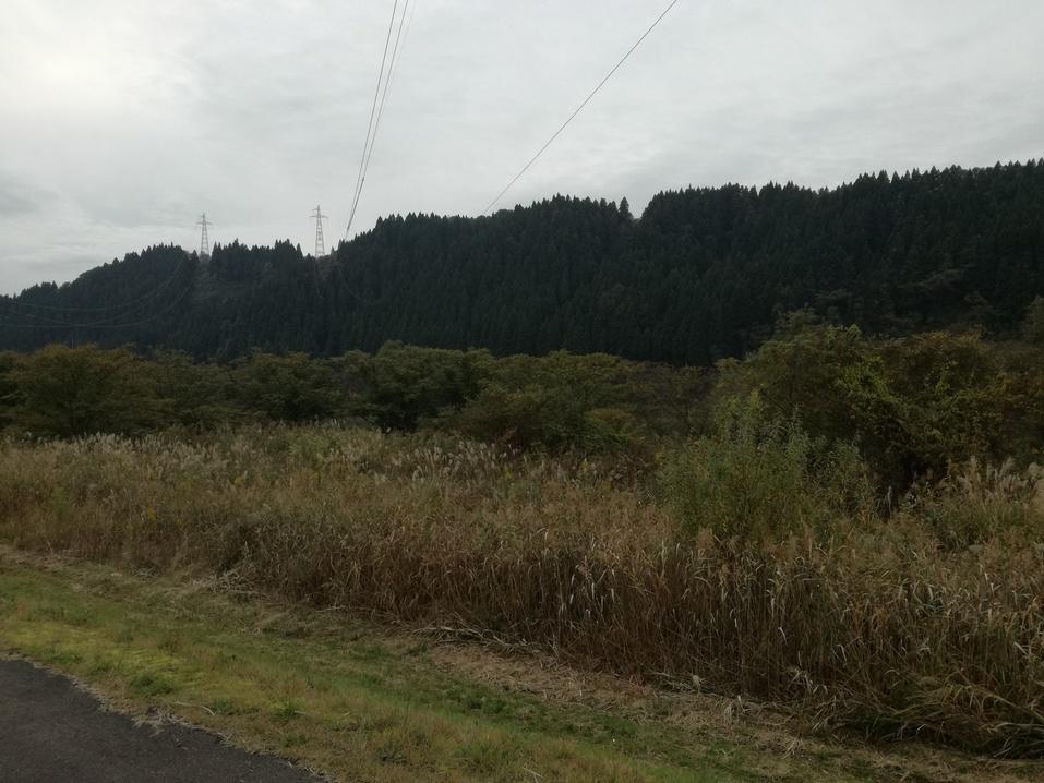 白根館