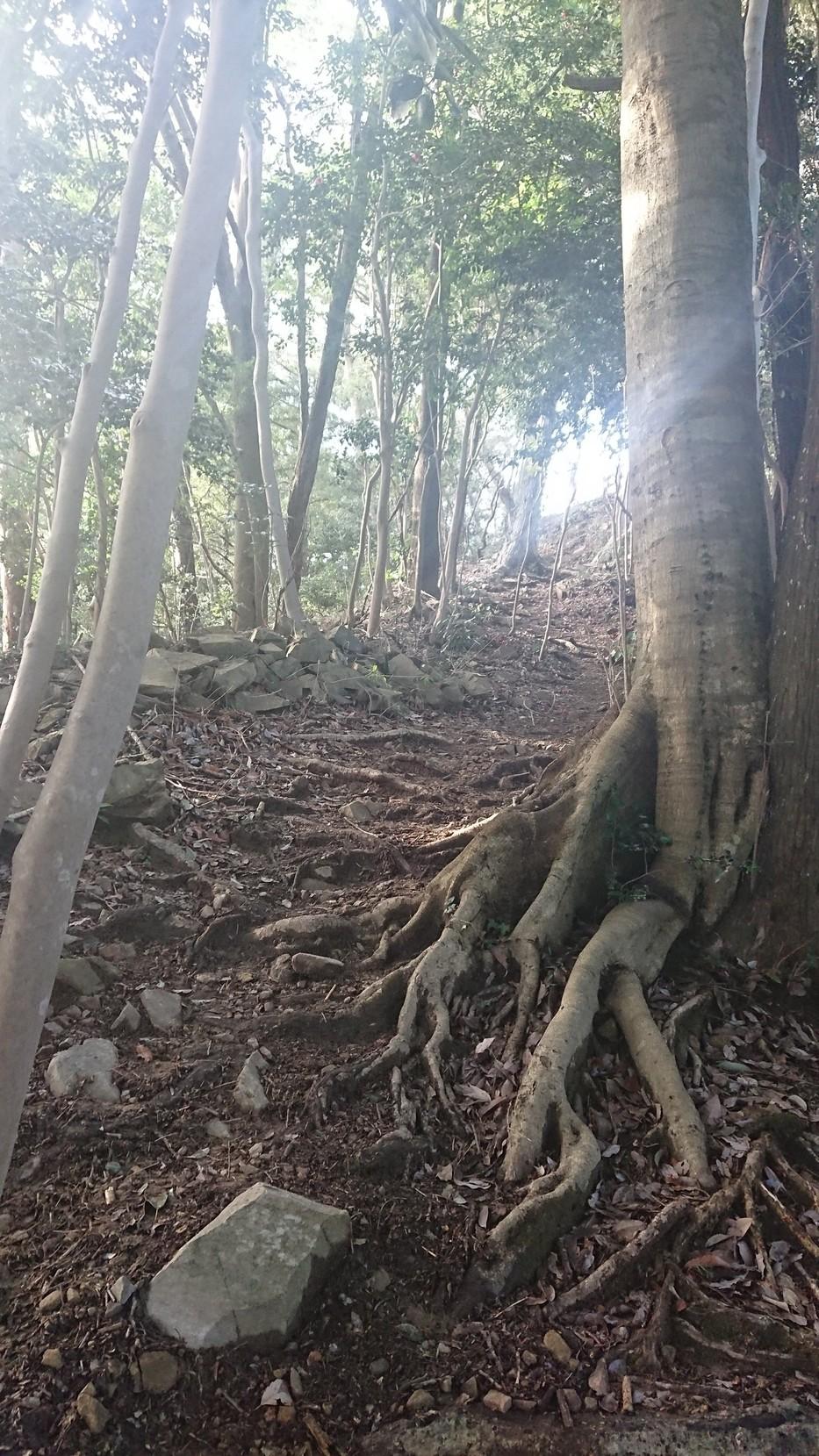 八王子城