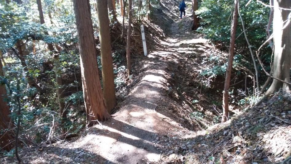 社山城