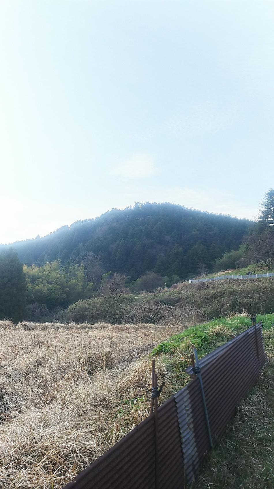 茶臼山城