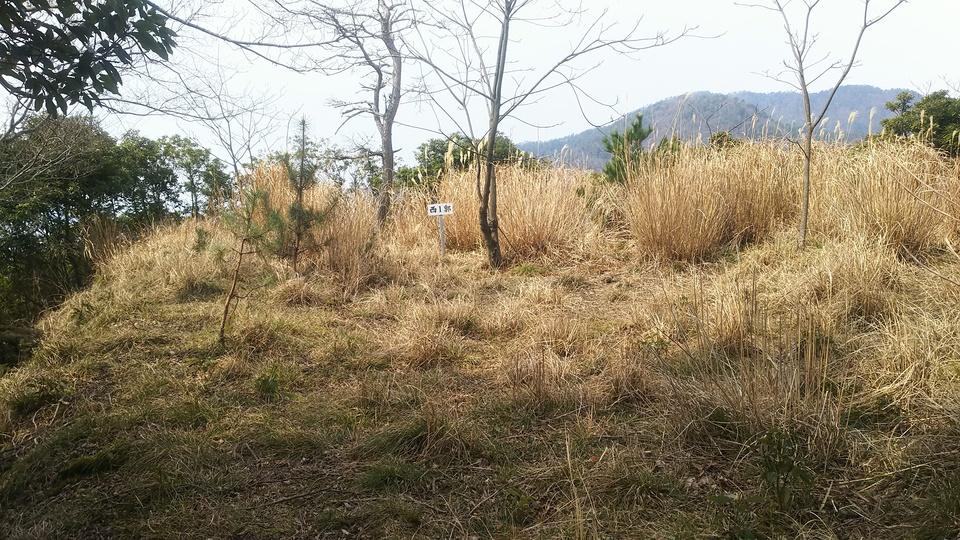 鳶ヶ巣城