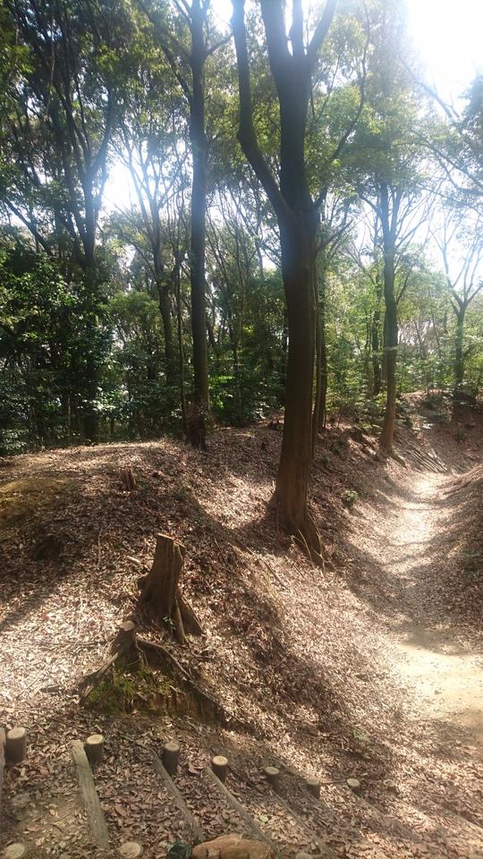 烏帽子形城
