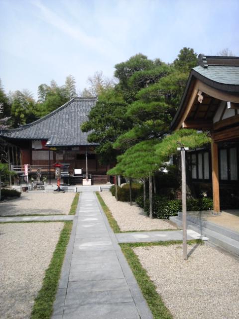 善福寺原城