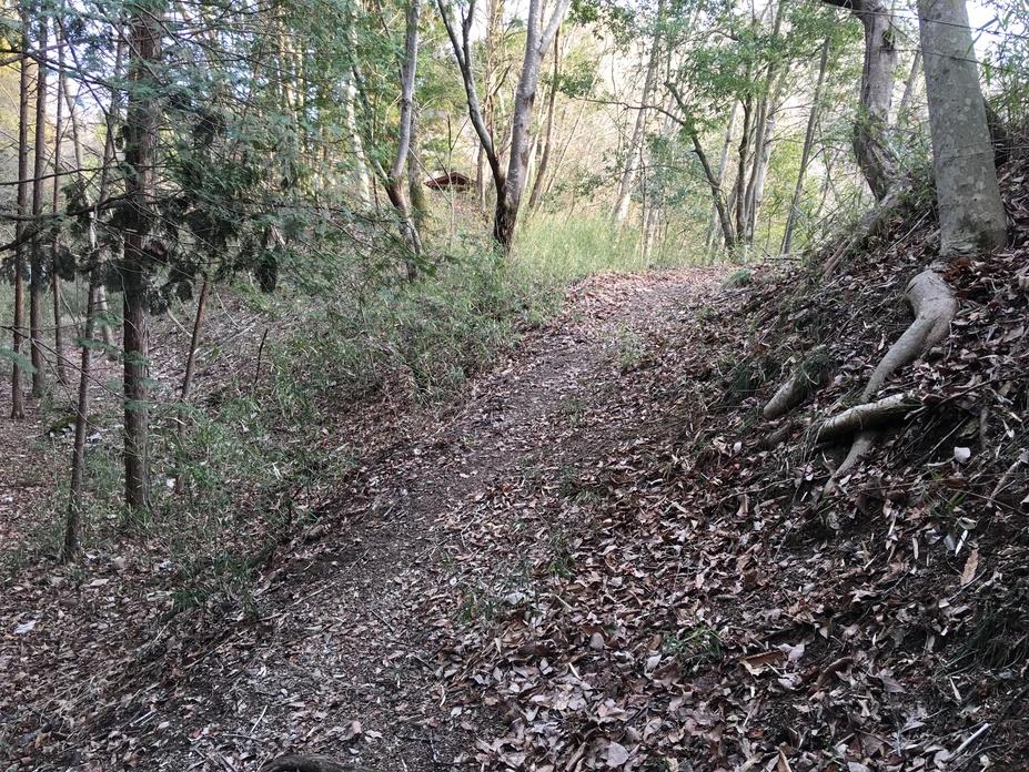 奥牧野城