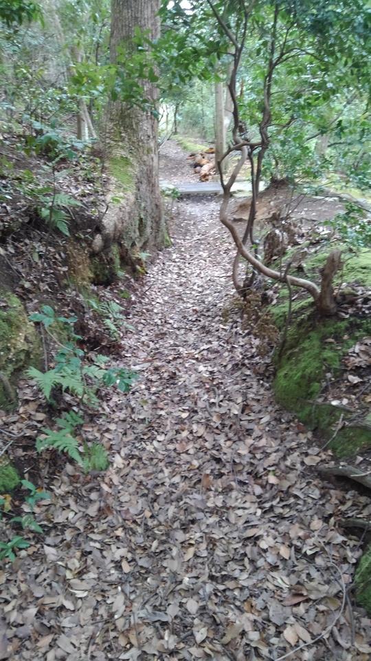 船岡山城