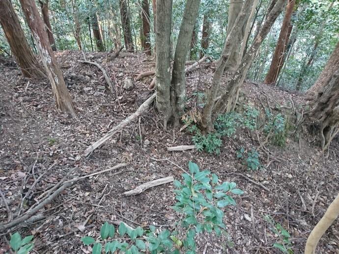 須崎城