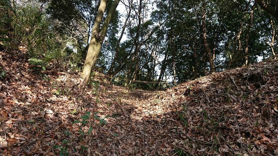 端谷城