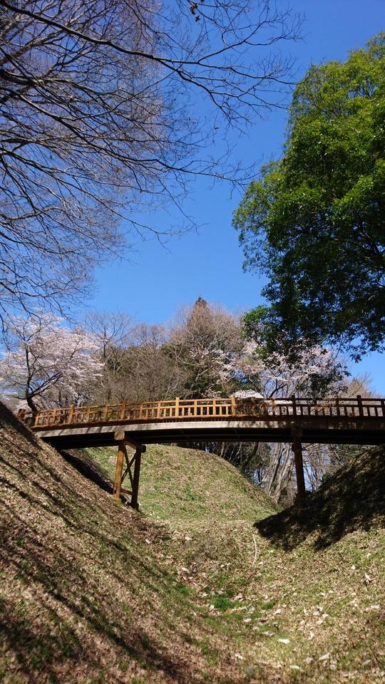 勝山城