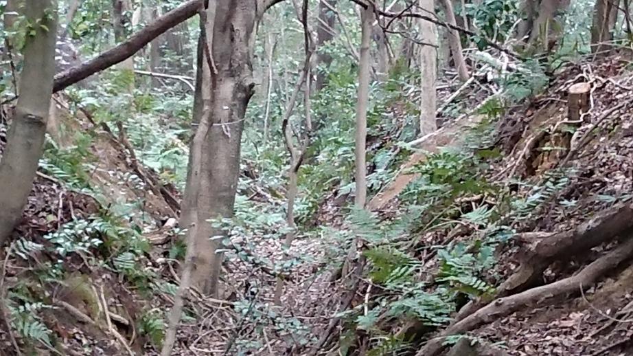千石堀城