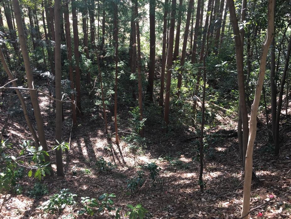 地蔵院館