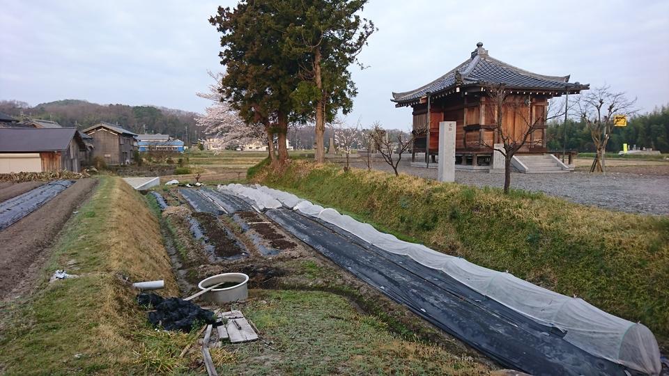 豊地城