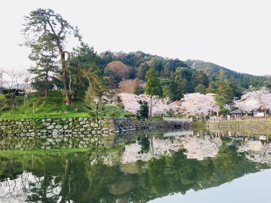 鹿野城