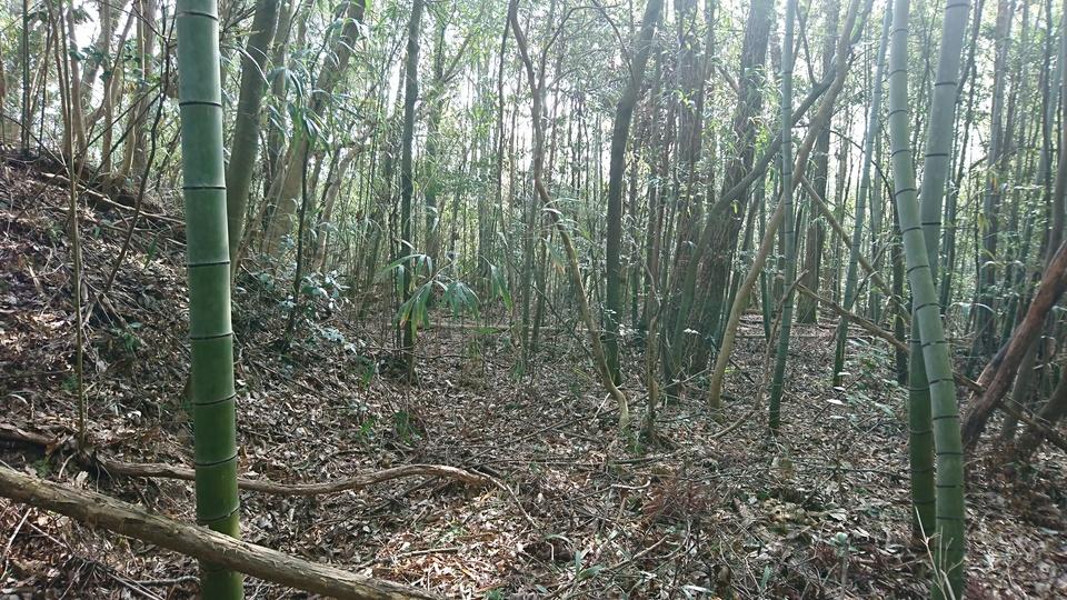藍岡山城