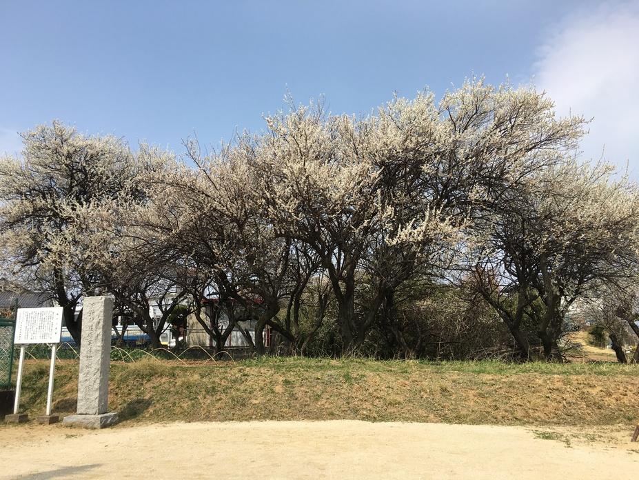 瀬戸川館