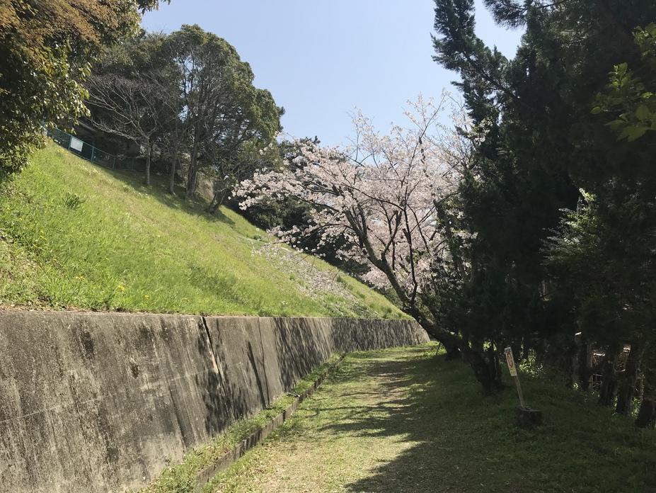 大野城