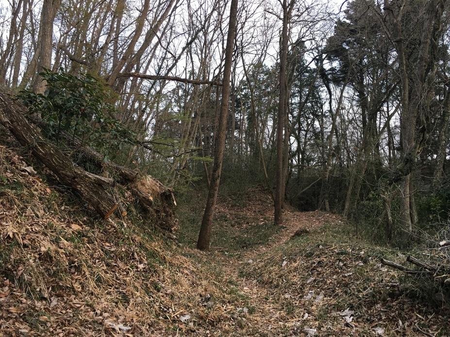 森田城