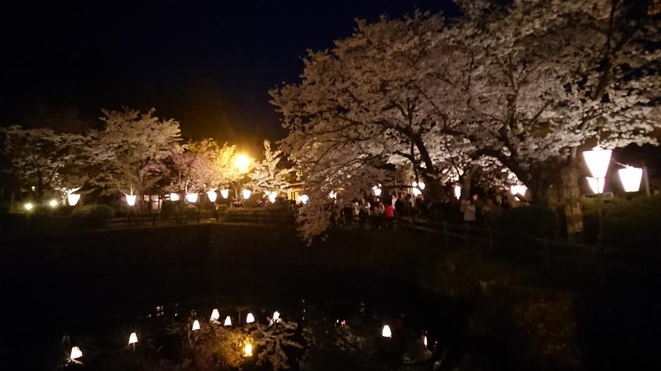 鹿野城