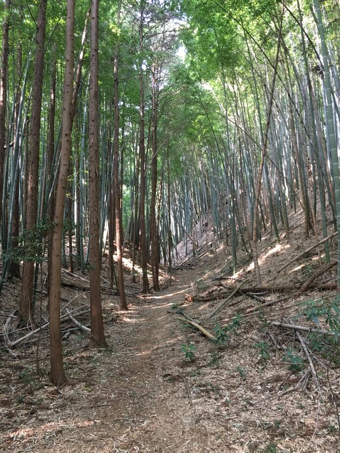 滝山城