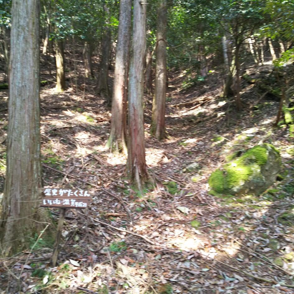 宇佐山城