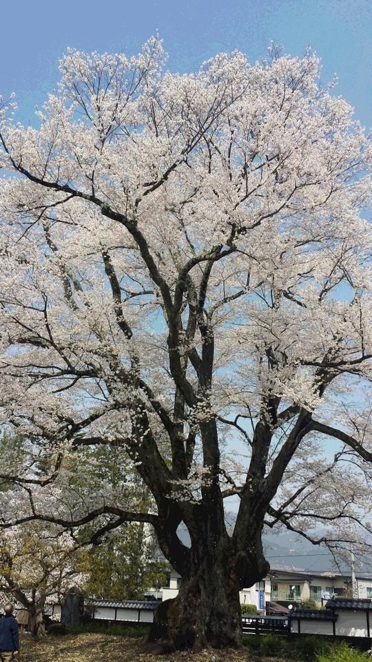 飯田城