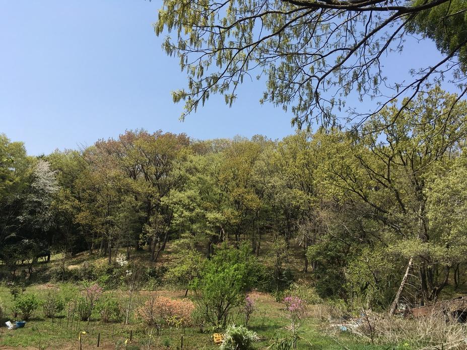 小野路城