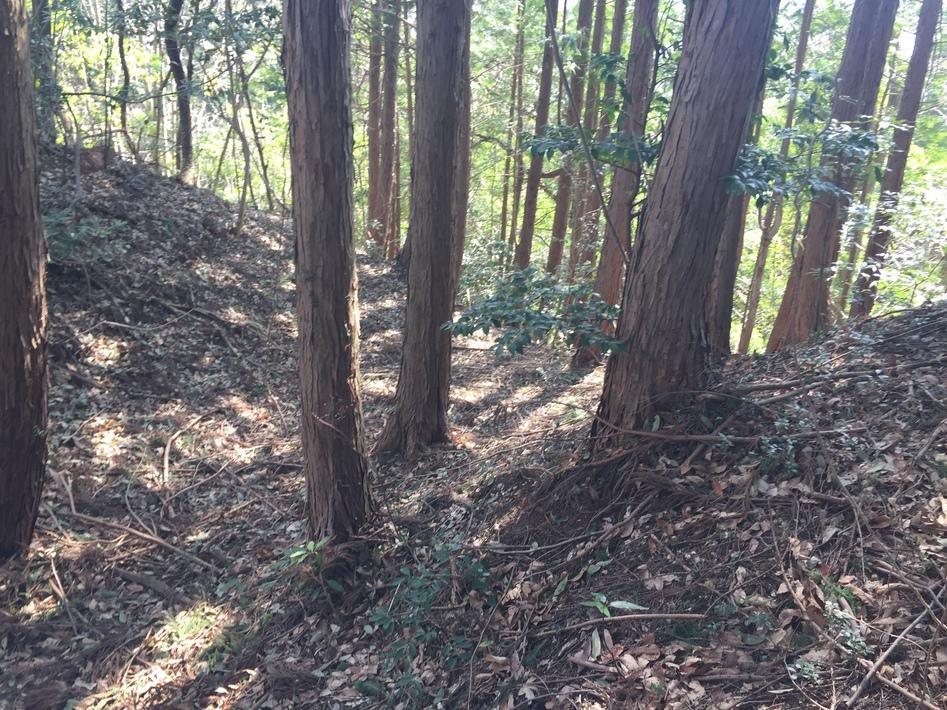 大富山城