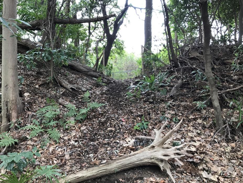 篠原城