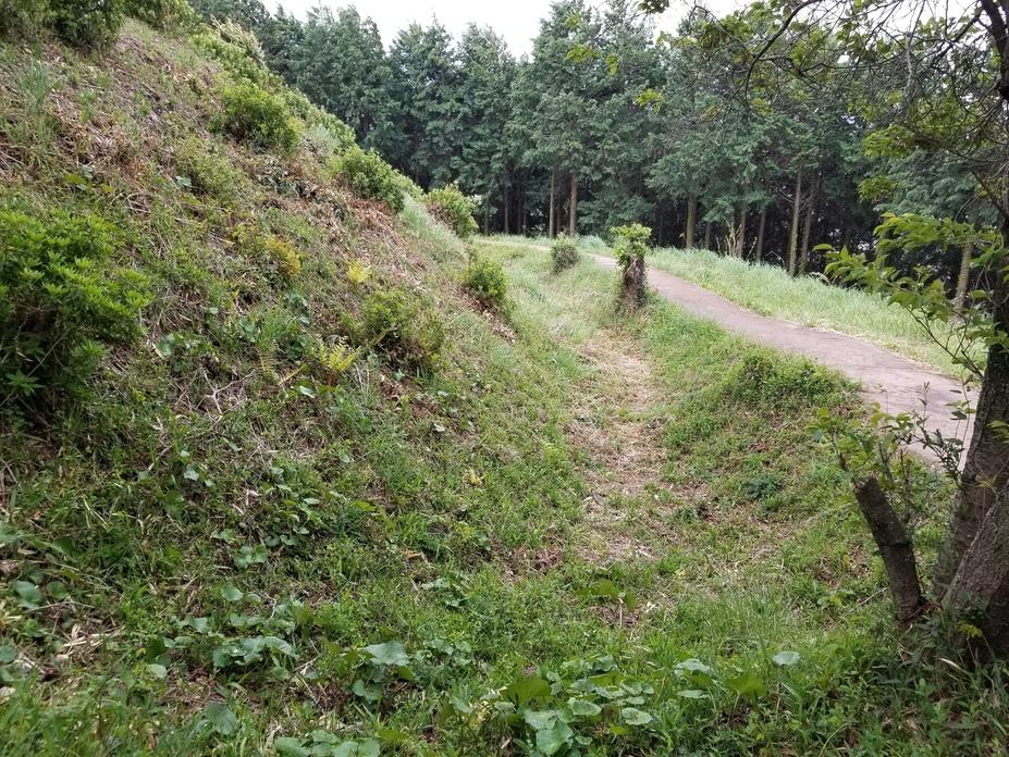 丸山城