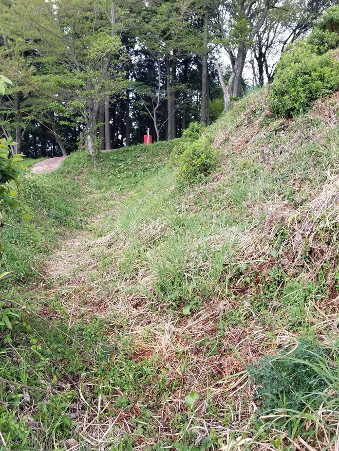 丸山城