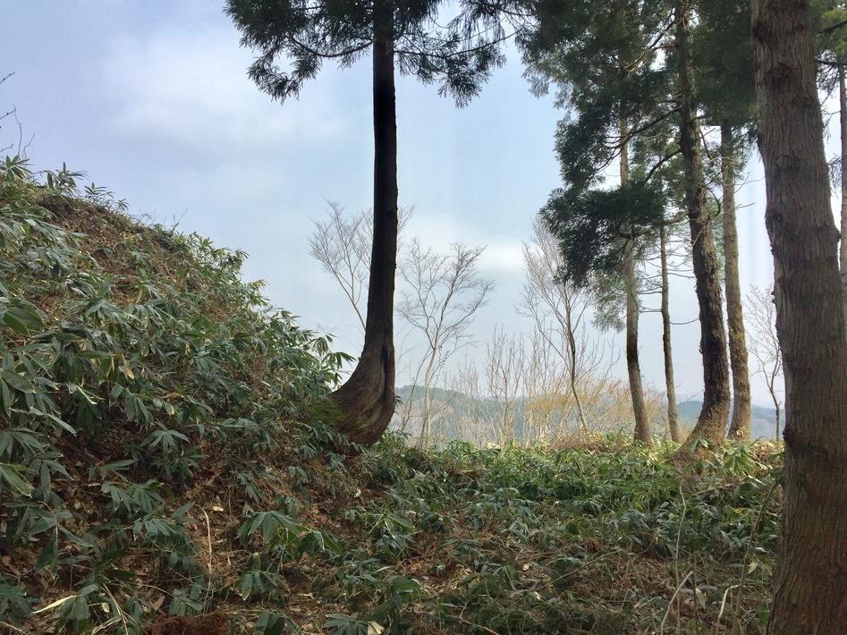 一乗寺城