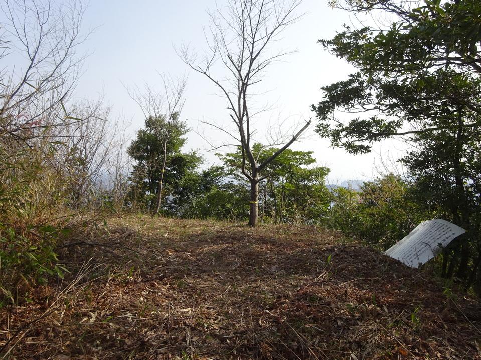 桐山城