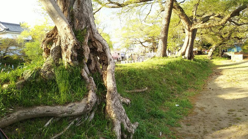 土浦城