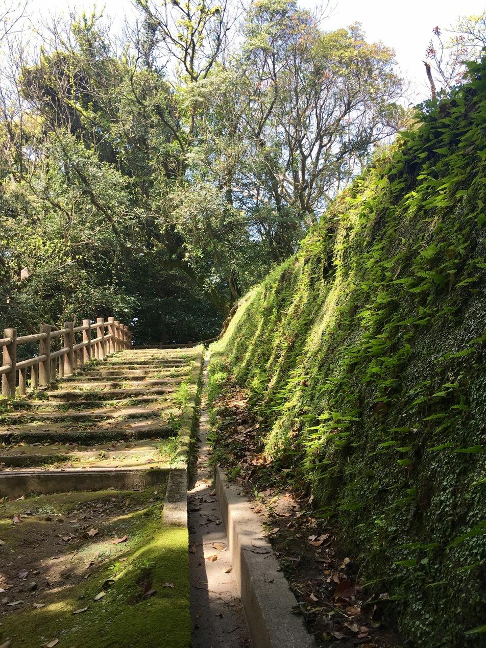 東福寺城
