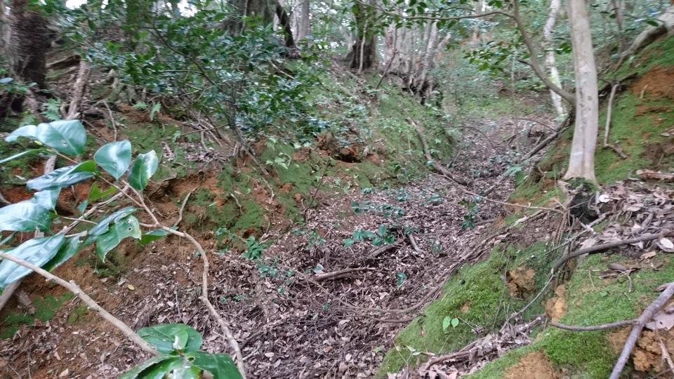 下岡城