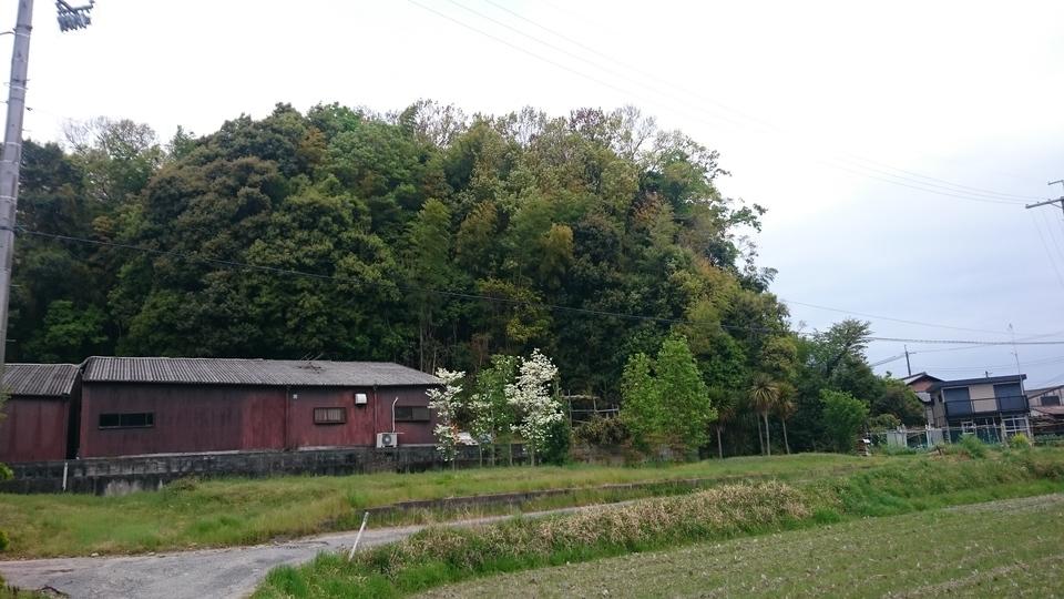大和田城