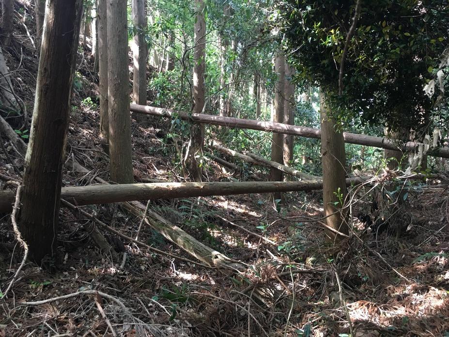 長者山城