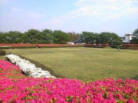 北新波砦